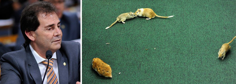 O servidor da Câmara Márcio Marins de Oliveira, que soltou ratos na sessão da CPI da Petrobras em que foi ouvido o tesoureiro do PT, João Vaccari Neto, tem ligações estreitas com deputado Paulo Pereira da Silva (SD/SP), de quem foi secretário parlamentar; no ano passado, ele também ajudou a recolher assinaturas para a formação do partido Solidariedade; depois do incidente desta quinta-feira, ele foi exonerado, por ordem do presidente da casa, Eduardo Cunha (PMDB/RJ) (Foto: Leonardo Attuch) O servidor da Câmara Márcio Marins de Oliveira, que soltou ratos na sessão da CPI da Petrobras em que foi ouvido o tesoureiro do PT, João Vaccari Neto, tem ligações estreitas com deputado Paulo Pereira da Silva (SD/SP), de quem foi secretário parlamentar; no ano passado, ele também ajudou a recolher assinaturas para a formação do partido Solidariedade; depois do incidente desta quinta-feira, ele foi exonerado, por ordem do presidente da casa, Eduardo Cunha (PMDB/RJ)
