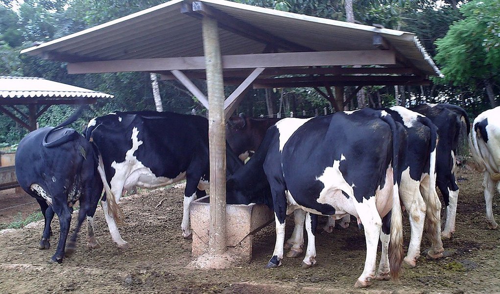 O Pronaf é um crédito rural que ajuda o agricultor a viabilizar sua produção; Segundo o coordenador técnico estadual de Crédito Rural da Emater-MG, Marcos Meokarem, o Pronaf “é uma ferramenta que permite ao agricultor expandir a sua atividade com condições de prazo, juros e carência que não se encontram no mercado. Quando aplicado e acompanhado de assistência técnica, o agricultor não tem dificuldades para saldar sua obrigações” (Foto: Luis Mauro Queiroz) O Pronaf é um crédito rural que ajuda o agricultor a viabilizar sua produção; Segundo o coordenador técnico estadual de Crédito Rural da Emater-MG, Marcos Meokarem, o Pronaf “é uma ferramenta que permite ao agricultor expandir a sua atividade com condições de prazo, juros e carência que não se encontram no mercado. Quando aplicado e acompanhado de assistência técnica, o agricultor não tem dificuldades para saldar sua obrigações”