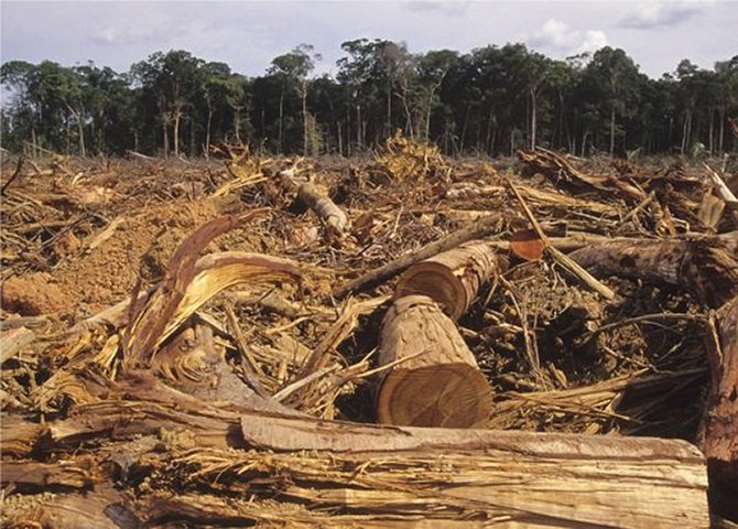 Final de 2014 e início de 2015 foram catastróficos para o meio ambiente no Brasil (Foto: Heitor Scalambrini Costa) Final de 2014 e início de 2015 foram catastróficos para o meio ambiente no Brasil