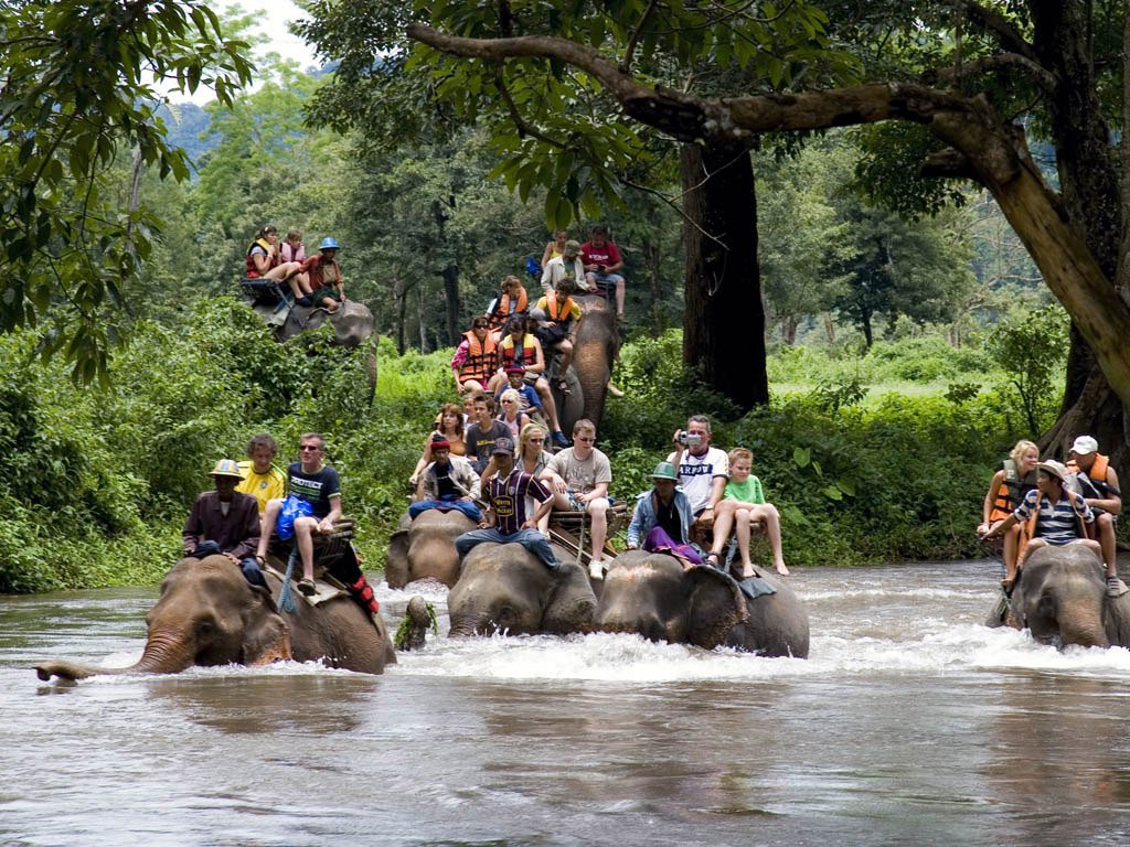 Bali elephant tracking (Foto: Paulo Emílio) Bali elephant tracking