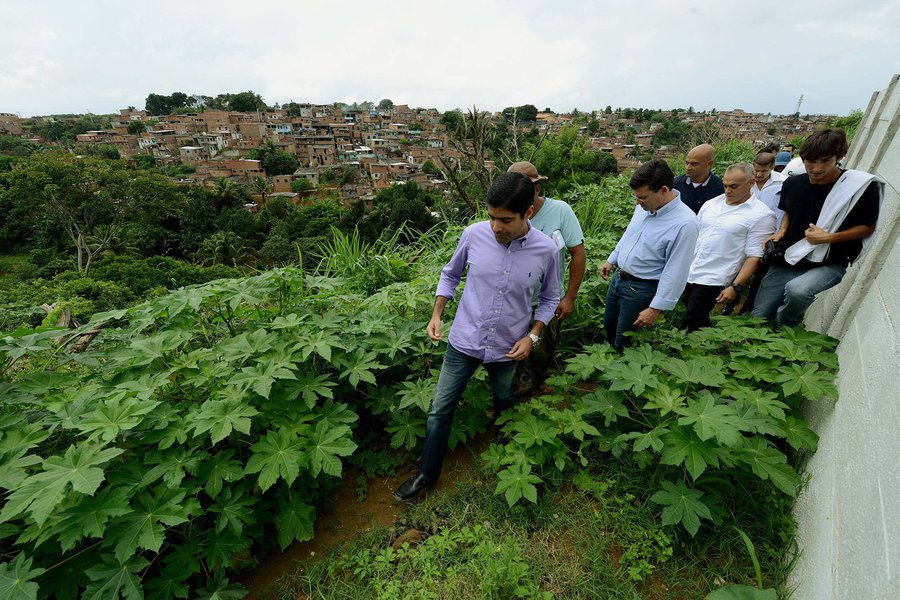 ACM Neto vistoriou nesta sexta-feira obras de mobilidade na região de Cajazeiras e na Baixa do Fiscal, no subúrbio ferroviário; "Faço questão de vistoriar as obras em andamento porque sei da necessidade de acompanhar tudo o que está acontecendo na cidade. Firmei esse compromisso desde que assumi e continuo com a mesma rotina desde o primeiro dia como prefeito. É importante ter esse contato direto para garantir o cumprimento do cronograma e a qualidade das obras, e isso é feito desde uma praça em execução até uma grande avenida, como é o caso da que ligará Cajazeiras à BR-324", disse o prefeito (Foto: Romulo Faro) ACM Neto vistoriou nesta sexta-feira obras de mobilidade na região de Cajazeiras e na Baixa do Fiscal, no subúrbio ferroviário; "Faço questão de vistoriar as obras em andamento porque sei da necessidade de acompanhar tudo o que está acontecendo na cidade. Firmei esse compromisso desde que assumi e continuo com a mesma rotina desde o primeiro dia como prefeito. É importante ter esse contato direto para garantir o cumprimento do cronograma e a qualidade das obras, e isso é feito desde uma praça em execução até uma grande avenida, como é o caso da que ligará Cajazeiras à BR-324", disse o prefeito