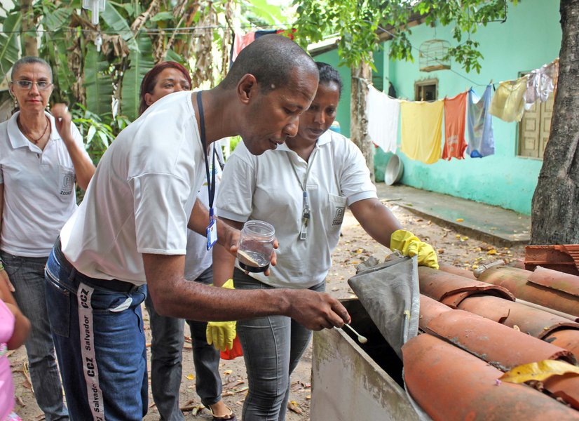 A Prefeitura de Salvador intensificou o combate aos mosquitos aedes aegypti e aedes albopictus, transmissores da dengue e da chikngunya, respectivamente, no bairro de Praia Grande, no subúrbio ferroviário; nos dois primeiros meses de 2015, o bairro teve 29 casos suspeitos das doenças (Foto: Romulo Faro) A Prefeitura de Salvador intensificou o combate aos mosquitos aedes aegypti e aedes albopictus, transmissores da dengue e da chikngunya, respectivamente, no bairro de Praia Grande, no subúrbio ferroviário; nos dois primeiros meses de 2015, o bairro teve 29 casos suspeitos das doenças