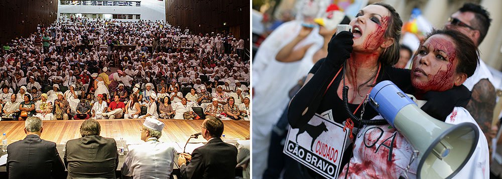 O uso de animais em rituais religiosos volta ao debate no Rio Grande do Sul e causa polêmica na Assembleia Legislativa; a terça-feira (24) foi marcada por atividades contra e a favor do projeto da deputada estadual Regina Becker (PDT) que tramita no Legislativo e proíbe o sacrifício de animais pelas religiões afro-brasileiras; em 2003, a prática foi barrada com a aprovação do Código Estadual de Proteção aos Animais pela Assembleia; entretanto, um ano depois, o parlamento sofreu pressão das instituições dos Povos de Terreiro e voltou atrás, liberando a utilização dos animais (Foto: Leonardo Lucena) O uso de animais em rituais religiosos volta ao debate no Rio Grande do Sul e causa polêmica na Assembleia Legislativa; a terça-feira (24) foi marcada por atividades contra e a favor do projeto da deputada estadual Regina Becker (PDT) que tramita no Legislativo e proíbe o sacrifício de animais pelas religiões afro-brasileiras; em 2003, a prática foi barrada com a aprovação do Código Estadual de Proteção aos Animais pela Assembleia; entretanto, um ano depois, o parlamento sofreu pressão das instituições dos Povos de Terreiro e voltou atrás, liberando a utilização dos animais