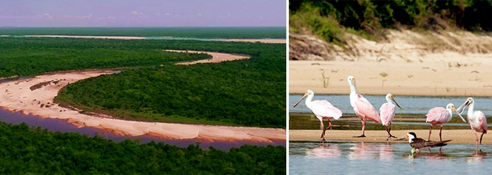 Ponto de encontro entre os biomas Cerrado, Pantanal e Amazônia, o Parque Estadual do Cantão, no município de Caseara, compõe uma área de 90 mil hectares e recebe aproximadamente dois mil turistas por ano; o trabalho realizado pela equipe da Unidade de Conservação e Proteção Ambiental do Cantão, composta por técnicos, guarda-parques, administrativos e inspetores de recursos naturais, viabiliza o uso público do local, que está recebendo investimentos de R$ 500 mil em revitalizações (Foto: Aquiles Lins) Ponto de encontro entre os biomas Cerrado, Pantanal e Amazônia, o Parque Estadual do Cantão, no município de Caseara, compõe uma área de 90 mil hectares e recebe aproximadamente dois mil turistas por ano; o trabalho realizado pela equipe da Unidade de Conservação e Proteção Ambiental do Cantão, composta por técnicos, guarda-parques, administrativos e inspetores de recursos naturais, viabiliza o uso público do local, que está recebendo investimentos de R$ 500 mil em revitalizações
