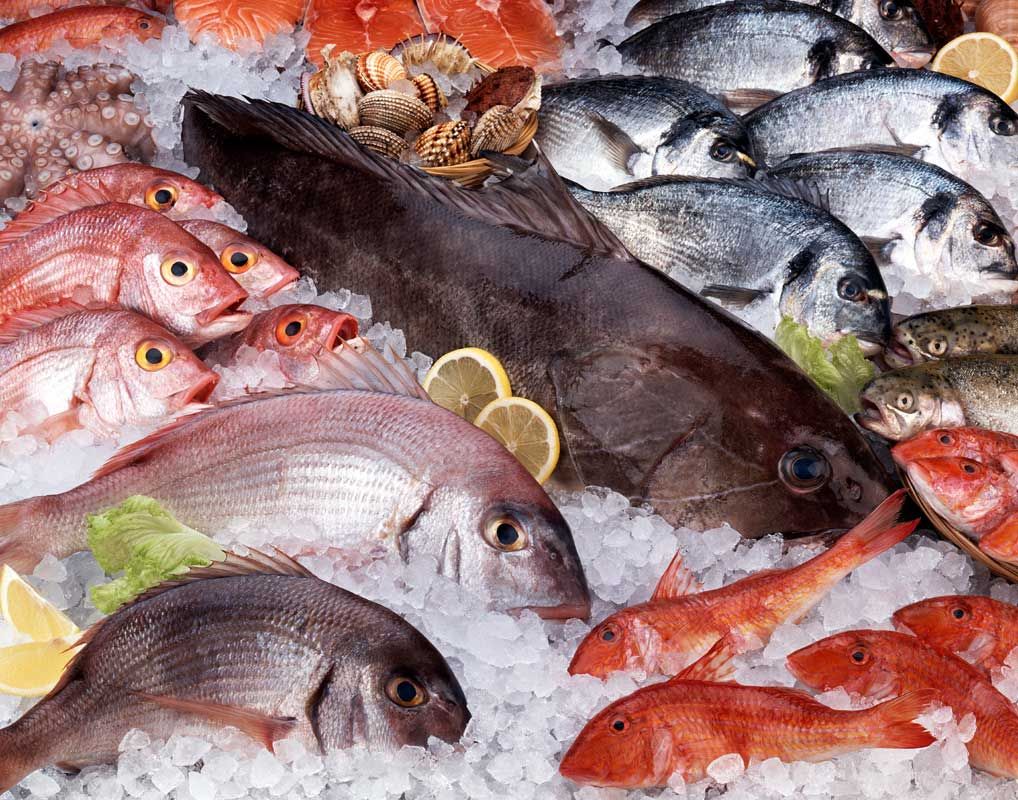 A operação tem o objetivo de garantir a qualidade do pescado, principalmente em pontos de comercio da periferia, locais que maior venda do produto (Foto: Renata Paiva) A operação tem o objetivo de garantir a qualidade do pescado, principalmente em pontos de comercio da periferia, locais que maior venda do produto