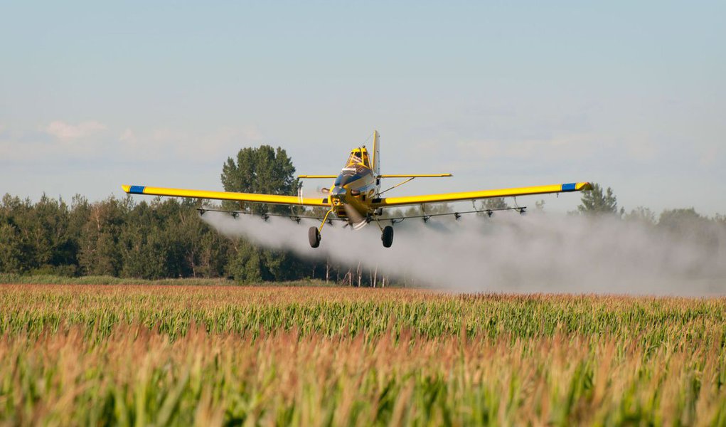 Mais de trinta anos depois de sua aprovação, a legislação estadual que controla o uso de agrotóxicos no Rio Grande do Sul continua sendo objeto de pressões flexibilizadoras no Legislativo e no Judiciário; em dezembro de 2013, foi barrada na Assembleia Legislativa uma proposta para flexibilizar a lei 7.747, sobretudo no que diz respeito à liberação de produtos que são proibidos em seus países de origem; agora, no mês de maio,decisão o TJ beneficiou produtos cujo uso é proibido na Comunidade Europeia (Foto: Leonardo Lucena) Mais de trinta anos depois de sua aprovação, a legislação estadual que controla o uso de agrotóxicos no Rio Grande do Sul continua sendo objeto de pressões flexibilizadoras no Legislativo e no Judiciário; em dezembro de 2013, foi barrada na Assembleia Legislativa uma proposta para flexibilizar a lei 7.747, sobretudo no que diz respeito à liberação de produtos que são proibidos em seus países de origem; agora, no mês de maio,decisão o TJ beneficiou produtos cujo uso é proibido na Comunidade Europeia