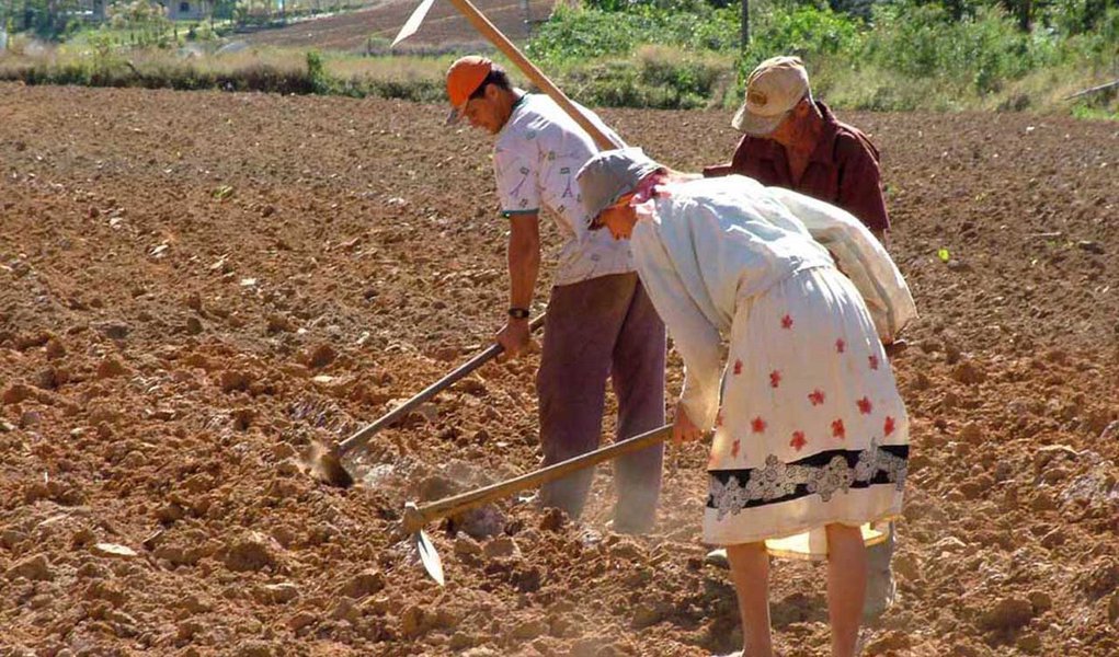O Ministério do Desenvolvimento Agrário (MDA) publicou hoje (12) duas portarias destinadas à liberação de recursos para pagamento aos beneficiários do Garantia Safra; primeira portaria atende a agricultores de alguns municípios de Alagoas, da Bahia, do Ceará, da Paraíba, do Piauí e do Rio Grande do Norte; benefício é relativo à safra 2012-2013 (Foto: Romulo Faro) O Ministério do Desenvolvimento Agrário (MDA) publicou hoje (12) duas portarias destinadas à liberação de recursos para pagamento aos beneficiários do Garantia Safra; primeira portaria atende a agricultores de alguns municípios de Alagoas, da Bahia, do Ceará, da Paraíba, do Piauí e do Rio Grande do Norte; benefício é relativo à safra 2012-2013