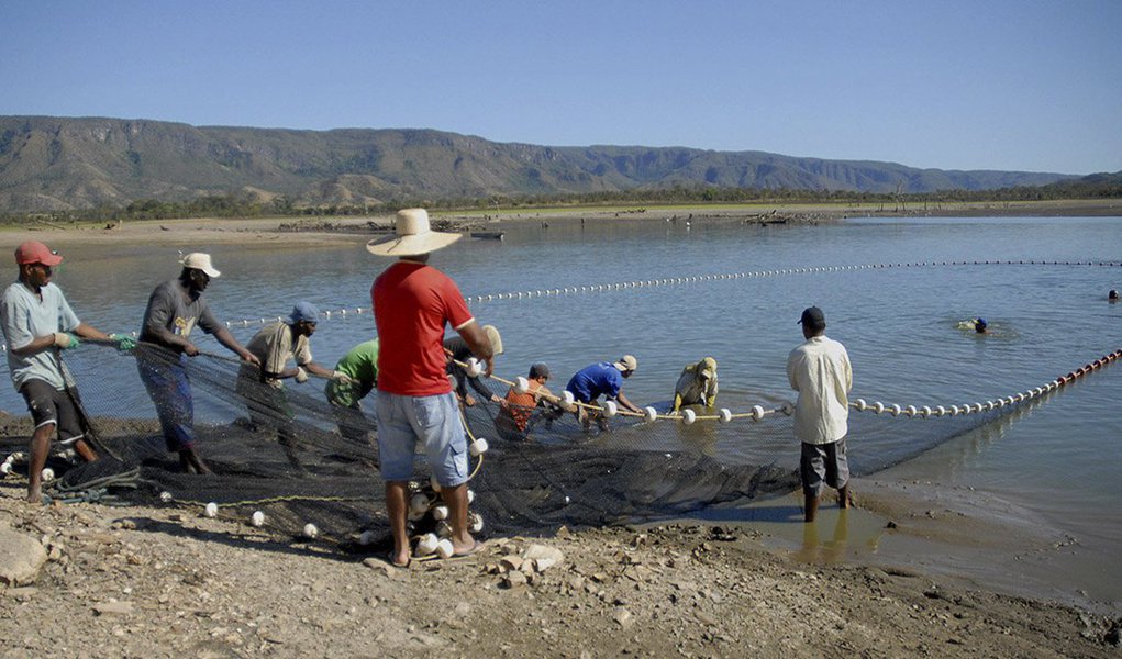 Ministro da Pesca e Aquicultura, Eduardo Lopes, e o governador interino Sandoval Cardoso (SD), autorizam o início da produção da aquicultura nos municípios de São Salvador e Peixe, região Sul do estado. Tocantins tem atualmente cerca de mil piscicultores e aproximadamente 3,3 mil hectares de viveiros e açudes/barragens; a produção de alevinos cresceu 419% nos últimos dez anos, passando de 2.890 toneladas, em 2004, para 15 mil toneladas neste ano, e a perspectiva de crescimento para o próximo ano é de 66% com relação a 2014 (Foto: Aquiles Lins) Ministro da Pesca e Aquicultura, Eduardo Lopes, e o governador interino Sandoval Cardoso (SD), autorizam o início da produção da aquicultura nos municípios de São Salvador e Peixe, região Sul do estado. Tocantins tem atualmente cerca de mil piscicultores e aproximadamente 3,3 mil hectares de viveiros e açudes/barragens; a produção de alevinos cresceu 419% nos últimos dez anos, passando de 2.890 toneladas, em 2004, para 15 mil toneladas neste ano, e a perspectiva de crescimento para o próximo ano é de 66% com relação a 2014
