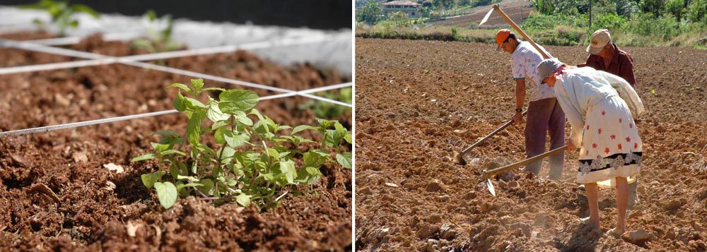 Propriedades declaradas de interesse social correspondem a 193,5 mil hectares em 16 estados, o equivalente a cerca de 190 mil campos de futebol; somadas aos oito decretos assinados em outubro, as áreas desapropriadas poderão receber 4.670 famílias (Foto: Roberta Namour) Propriedades declaradas de interesse social correspondem a 193,5 mil hectares em 16 estados, o equivalente a cerca de 190 mil campos de futebol; somadas aos oito decretos assinados em outubro, as áreas desapropriadas poderão receber 4.670 famílias