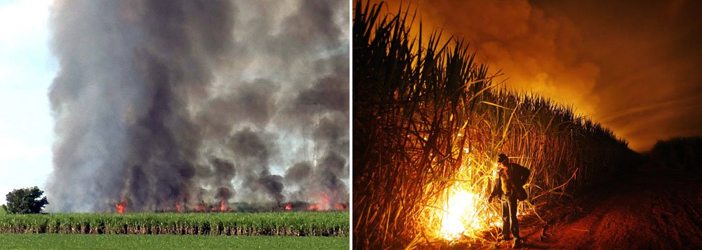 Instituto Ambiental do Paraná (IAP) não deve conceder novas autorizações para a queima controlada da cana-de-açúcar ou nem renovar as já expedidas em Umuaruma; ‘‘Tendo sido realizadas queimadas de palhas de cana-de-açúcar sem a respectiva licença ambiental, e sendo certo que tais queimadas poluem a atmosfera terrestre, evidencia-se a ilicitude do ato’, disse o desembargador federal
(Foto: Roberta Namour) Instituto Ambiental do Paraná (IAP) não deve conceder novas autorizações para a queima controlada da cana-de-açúcar ou nem renovar as já expedidas em Umuaruma; ‘‘Tendo sido realizadas queimadas de palhas de cana-de-açúcar sem a respectiva licença ambiental, e sendo certo que tais queimadas poluem a atmosfera terrestre, evidencia-se a ilicitude do ato’, disse o desembargador federal
