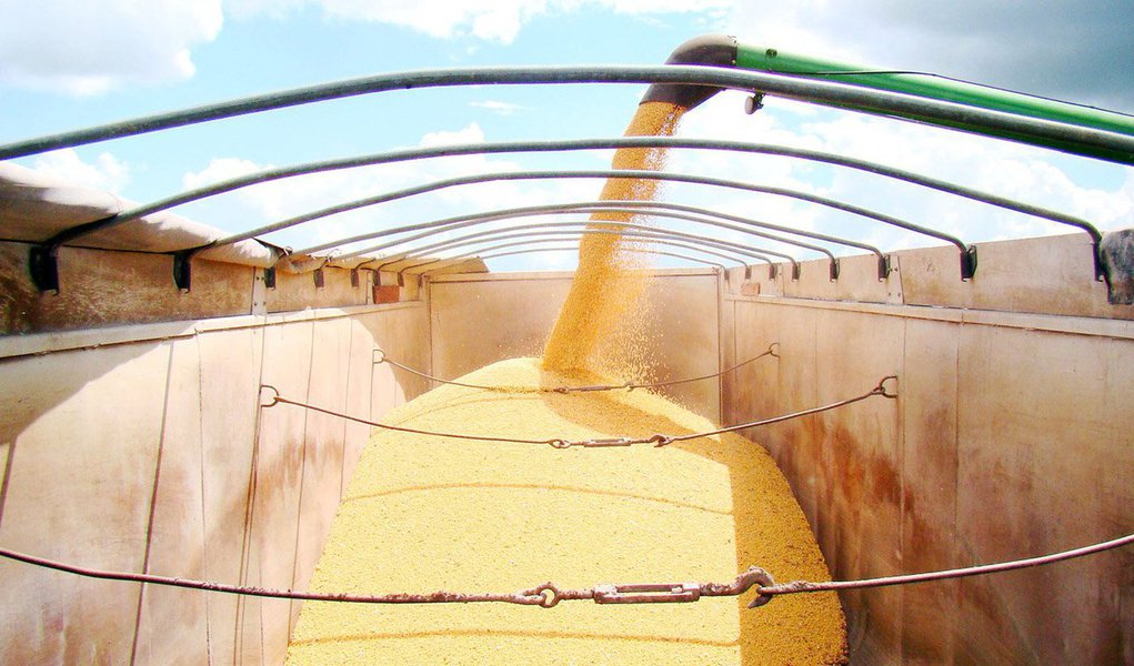 O Rio Grande do Sul atingiu US$ 3,2 bilhões em exportações no primeiro trimestre deste ano, uma queda de US$ 281,4 milhões, o que representa uma redução de 8% em relação ao mesmo período no ano anterior; o declínio é consequência, principalmente, da diminuição na exportação de trigo, que registrou redução de US$ 287,5 milhões; os dados foram divulgados, pela Fundação de Economia e Estatística (FEE) (Foto: Leonardo Lucena) O Rio Grande do Sul atingiu US$ 3,2 bilhões em exportações no primeiro trimestre deste ano, uma queda de US$ 281,4 milhões, o que representa uma redução de 8% em relação ao mesmo período no ano anterior; o declínio é consequência, principalmente, da diminuição na exportação de trigo, que registrou redução de US$ 287,5 milhões; os dados foram divulgados, pela Fundação de Economia e Estatística (FEE)