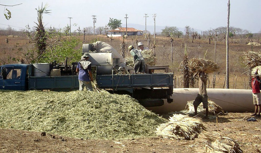 A Polícia Rodoviária Federal e o Ministério Público do Trabalho (MPT) resgataram 96 trabalhadores que se encontravam em situação análoga à escravidão em duas fazendas no interior do Ceará; as duas fazendas, localizadas nos municípios de Granja e Barroquinha, utilizavam a mão-de-obra na produção de pó de carnaúba; os depoimentos demonstraram, ainda, que muitos preferiam dormir ao relento do que nos locais determinados em função das péssimas condições de acomodação e higiene (Foto: Paulo Emílio) A Polícia Rodoviária Federal e o Ministério Público do Trabalho (MPT) resgataram 96 trabalhadores que se encontravam em situação análoga à escravidão em duas fazendas no interior do Ceará; as duas fazendas, localizadas nos municípios de Granja e Barroquinha, utilizavam a mão-de-obra na produção de pó de carnaúba; os depoimentos demonstraram, ainda, que muitos preferiam dormir ao relento do que nos locais determinados em função das péssimas condições de acomodação e higiene
