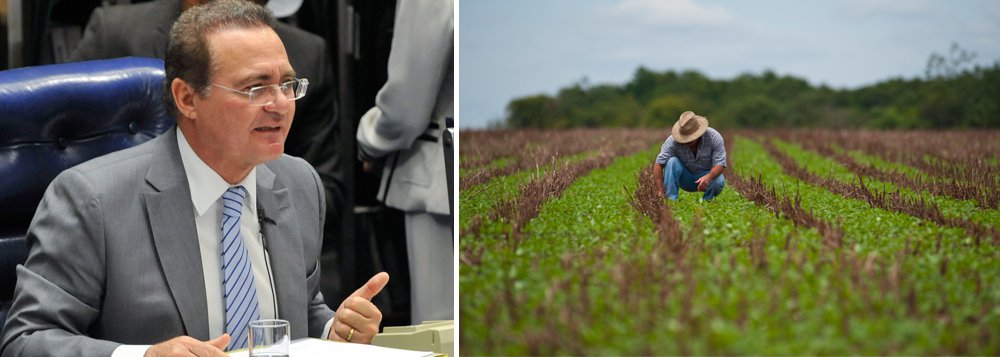 O Senado Federal aprovou Medida Provisória que reabre os prazos para renegociação das dívidas dos produtores rurais; dívidas de até R$ 100 mil para projetos localizados na área de atuação da Superintendência de Desenvolvimento do Nordeste (Sudene), terão direito a desconto para liquidação até 31 de dezembro de 2015 (Foto: Voney Malta) O Senado Federal aprovou Medida Provisória que reabre os prazos para renegociação das dívidas dos produtores rurais; dívidas de até R$ 100 mil para projetos localizados na área de atuação da Superintendência de Desenvolvimento do Nordeste (Sudene), terão direito a desconto para liquidação até 31 de dezembro de 2015