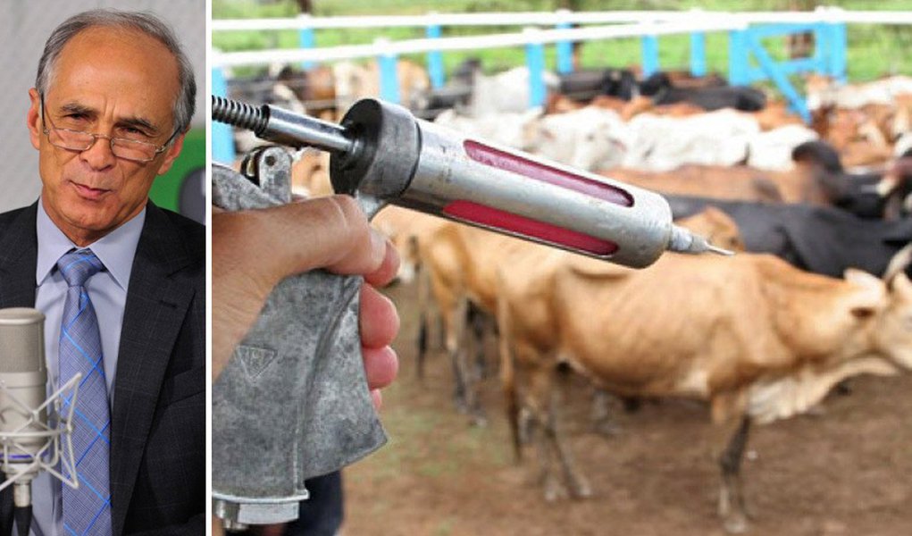 O ministro da Agricultura, Antônio Andrade, anunciou, neste domingo (18), que Alagoas está entre os oito estados brasileiros que receberão, por meio de instruções normativas, o reconhecimento do governo federal como zona livre da aftosa. Hoje, foi assinado o documento que reconhece o norte do Pará como área livre da doença. Também passarão a integrar a zona livre os estados do Ceará, Maranhão, Paraíba, Pernambuco, Piauí e Rio Grande do Norte. (Foto: Voney Malta) O ministro da Agricultura, Antônio Andrade, anunciou, neste domingo (18), que Alagoas está entre os oito estados brasileiros que receberão, por meio de instruções normativas, o reconhecimento do governo federal como zona livre da aftosa. Hoje, foi assinado o documento que reconhece o norte do Pará como área livre da doença. Também passarão a integrar a zona livre os estados do Ceará, Maranhão, Paraíba, Pernambuco, Piauí e Rio Grande do Norte.