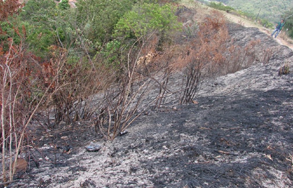 Primeira metade de 2015 teve aumento significativo nos focos de incêndio em Alagoas; imagens consolidadas de satélite do Instituto Nacional de Pesquisas Espaciais (Inpe) mostram que, no Estado, a quantidade de focos subiu 86% entre janeiro e junho deste ano; no Nordeste, seis dos nove Estados tiveram aumento de focos no 1º semestre: Sergipe (130%), Alagoas (86%), Ceará (77%), Rio Grande do Norte (40%), Maranhão (39%) e Bahia (16%) (Foto: José Barbacena) Primeira metade de 2015 teve aumento significativo nos focos de incêndio em Alagoas; imagens consolidadas de satélite do Instituto Nacional de Pesquisas Espaciais (Inpe) mostram que, no Estado, a quantidade de focos subiu 86% entre janeiro e junho deste ano; no Nordeste, seis dos nove Estados tiveram aumento de focos no 1º semestre: Sergipe (130%), Alagoas (86%), Ceará (77%), Rio Grande do Norte (40%), Maranhão (39%) e Bahia (16%)