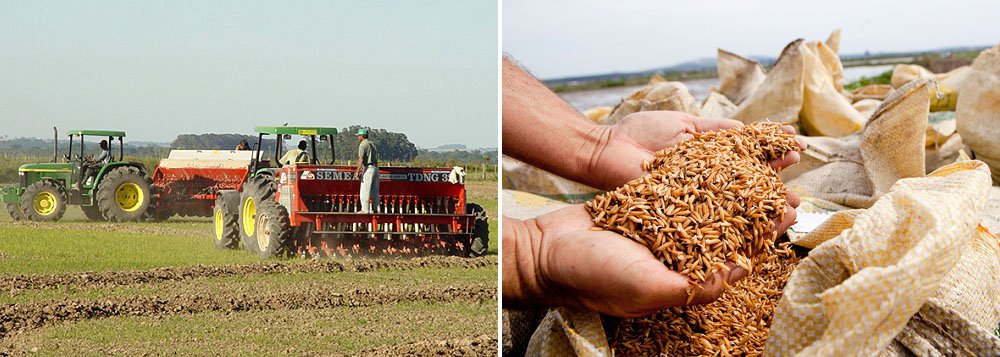 Estudo da Secretaria Estadual da Fazenda do Rio Grande do Sul apontou que nos últimos dois anos as cooperativas de agricultura familiar economizaram R$ 4,7 milhões com a isenção de ICMS sobre a venda de alimentos para a merenda escolar; valor que deixou de ser entregue como tributo ao Tesouro estadual se transformou em investimento na produção (Foto: Roberta Namour) Estudo da Secretaria Estadual da Fazenda do Rio Grande do Sul apontou que nos últimos dois anos as cooperativas de agricultura familiar economizaram R$ 4,7 milhões com a isenção de ICMS sobre a venda de alimentos para a merenda escolar; valor que deixou de ser entregue como tributo ao Tesouro estadual se transformou em investimento na produção