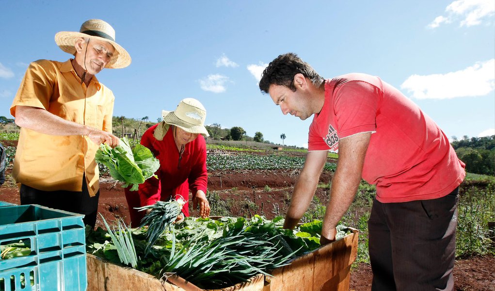 O programa Seguro Rural, do Governo do Paraná, deverá disponibilizar R$ 20 milhões em 2015 para subvenção de parte do valor do prêmio pago, nas apólices, pelos agricultores; o valor é quase o triplo dos R$ 7 milhões de 2014 e o objetivo é dobrar o número beneficiados; neste ano, foram cerca de 5.000 apólices; dos recursos projetados para o próximo ano, R$ 2,2 milhões são para a subvenção ao prêmio das culturas de milho e feijão da segunda safra (Foto: Leonardo Lucena) O programa Seguro Rural, do Governo do Paraná, deverá disponibilizar R$ 20 milhões em 2015 para subvenção de parte do valor do prêmio pago, nas apólices, pelos agricultores; o valor é quase o triplo dos R$ 7 milhões de 2014 e o objetivo é dobrar o número beneficiados; neste ano, foram cerca de 5.000 apólices; dos recursos projetados para o próximo ano, R$ 2,2 milhões são para a subvenção ao prêmio das culturas de milho e feijão da segunda safra
