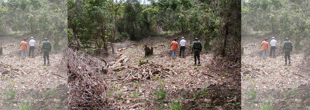 Uma operação de fiscalização do Instituto do Meio de Alagoas (IMA), em municípios localizados no litoral Norte de Alagoas detectou diversas agressões ao meio ambiente. A partir de denúncias, técnicos do IMA constataram irregularidades como desmatamento e uma pedreira funcionando sem qualquer tipo de segurança ou autorização de área de preservação. Casos foram registrados nos municípios de Japaratinga, Maragogi e Matriz do Camaragibe. (Foto: Voney Malta) Uma operação de fiscalização do Instituto do Meio de Alagoas (IMA), em municípios localizados no litoral Norte de Alagoas detectou diversas agressões ao meio ambiente. A partir de denúncias, técnicos do IMA constataram irregularidades como desmatamento e uma pedreira funcionando sem qualquer tipo de segurança ou autorização de área de preservação. Casos foram registrados nos municípios de Japaratinga, Maragogi e Matriz do Camaragibe.