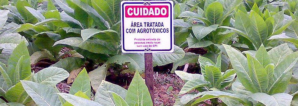 Dos 13 presidenciáveis, apenas três propõem reduzir uso de agrotóxicos (Foto: MST) Dos 13 presidenciáveis, apenas três propõem reduzir uso de agrotóxicos