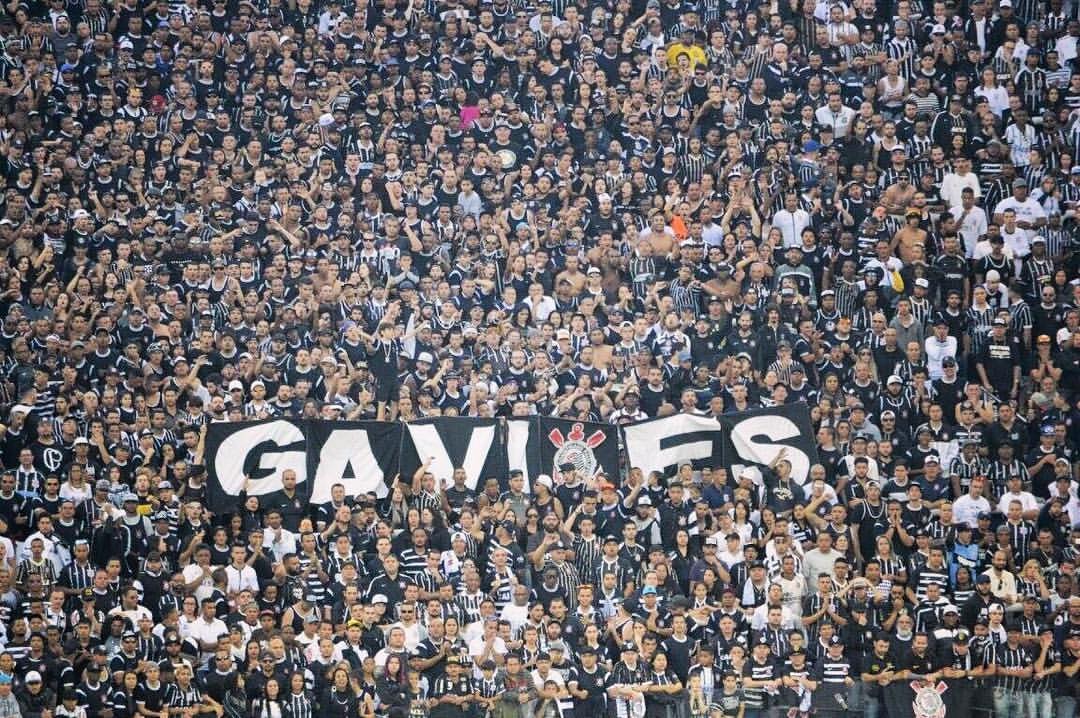 Blog do Juca: 'Gavião não vota em Bolsonaro' (Foto: Reprodução/Facebook) Blog do Juca: 'Gavião não vota em Bolsonaro'
