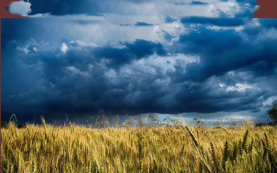 Fome e mudança climática. Uma pessoa de cada dez passa fome no mundo (Foto: Pixabay) Fome e mudança climática. Uma pessoa de cada dez passa fome no mundo