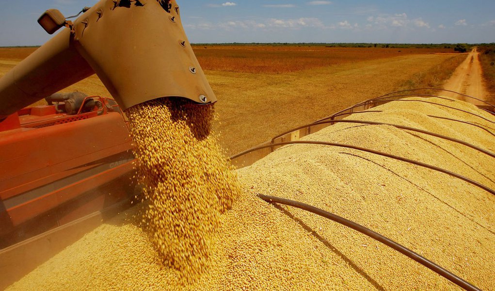 Agronegócio depende cada vez mais da China Agronegócio depende cada vez mais da China