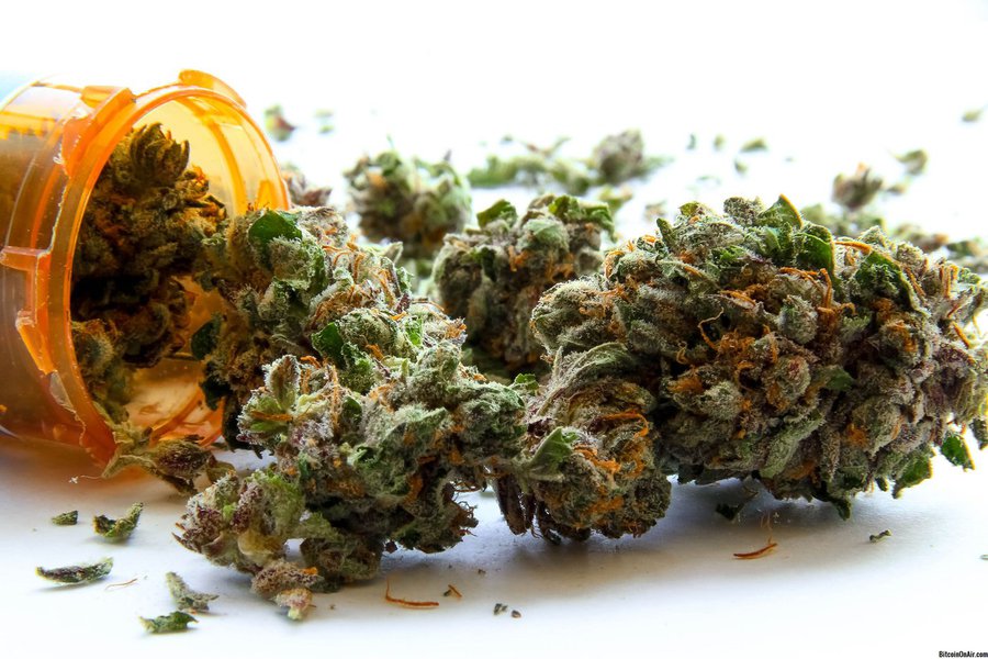 Maconha medicinal ganha espaço e impulsiona indústria milionária Maconha medicinal ganha espaço e impulsiona indústria milionária