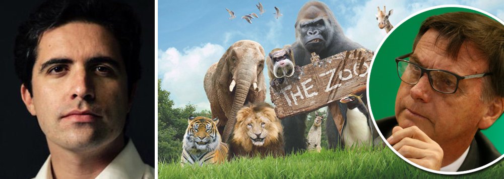 Bolsonaro: um presidente no jardim zoológico Bolsonaro: um presidente no jardim zoológico