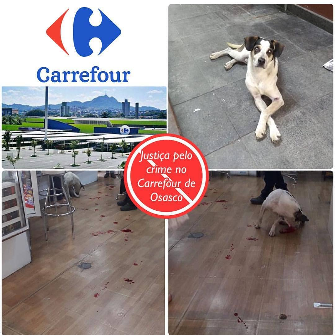 Crueldade - cão é espancado até a morte no Carrefour Osasco www.brasil247.com - Crueldade - cão é espancado até a morte no Carrefour Osasco