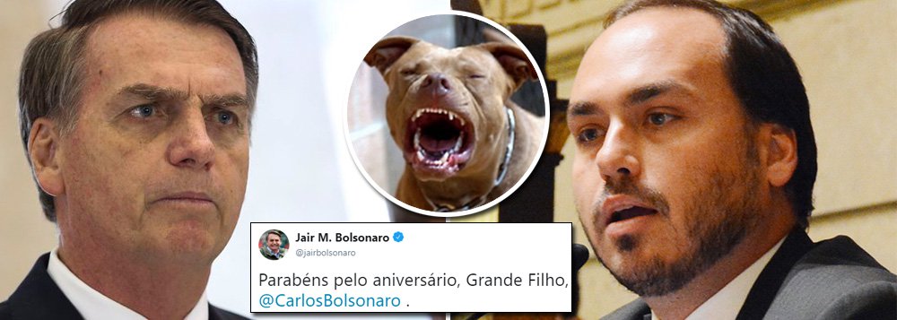 Bolsonaro parabeniza seu filho mais agressivo: obrigado, meu pitbull Bolsonaro parabeniza seu filho mais agressivo: obrigado, meu pitbull