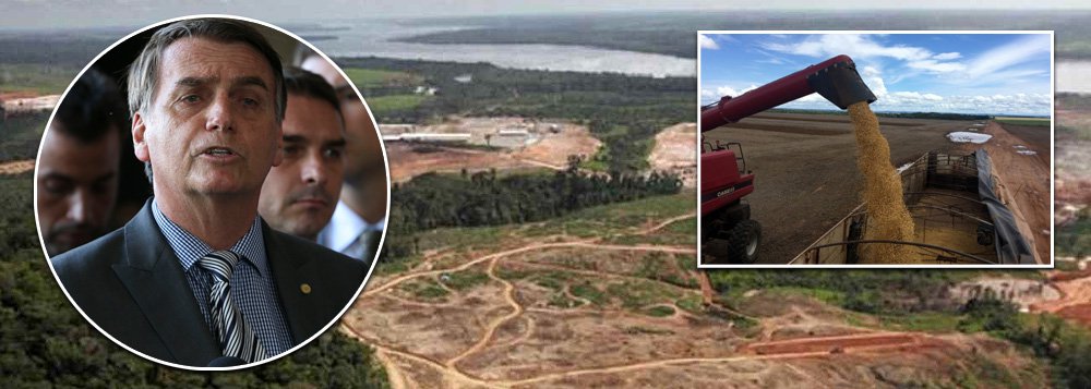 Brasil, pária global: Bolsonaro quer tirar o país do Acordo do Clima Brasil, pária global: Bolsonaro quer tirar o país do Acordo do Clima