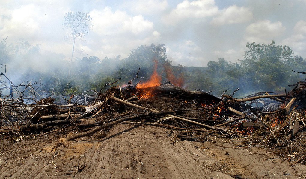 Gestão do meio ambiente não vai existir e banqueiros concentrarão poder Gestão do meio ambiente não vai existir e banqueiros concentrarão poder