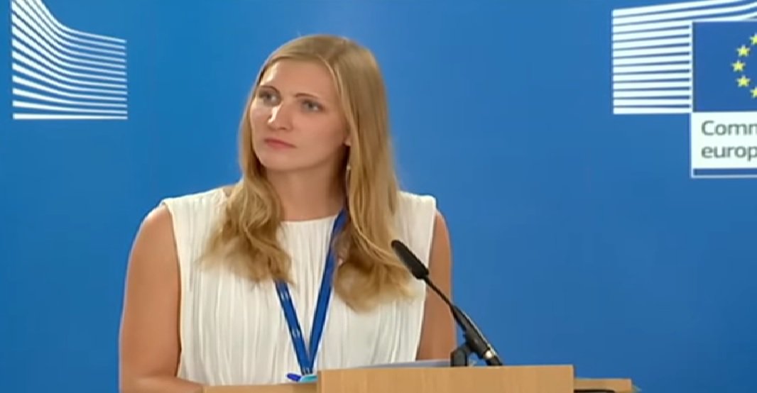 União Europeia pede que Bolsonaro reforce a democracia no Brasil (Foto: Reprodução (Youtube)) União Europeia pede que Bolsonaro reforce a democracia no Brasil
