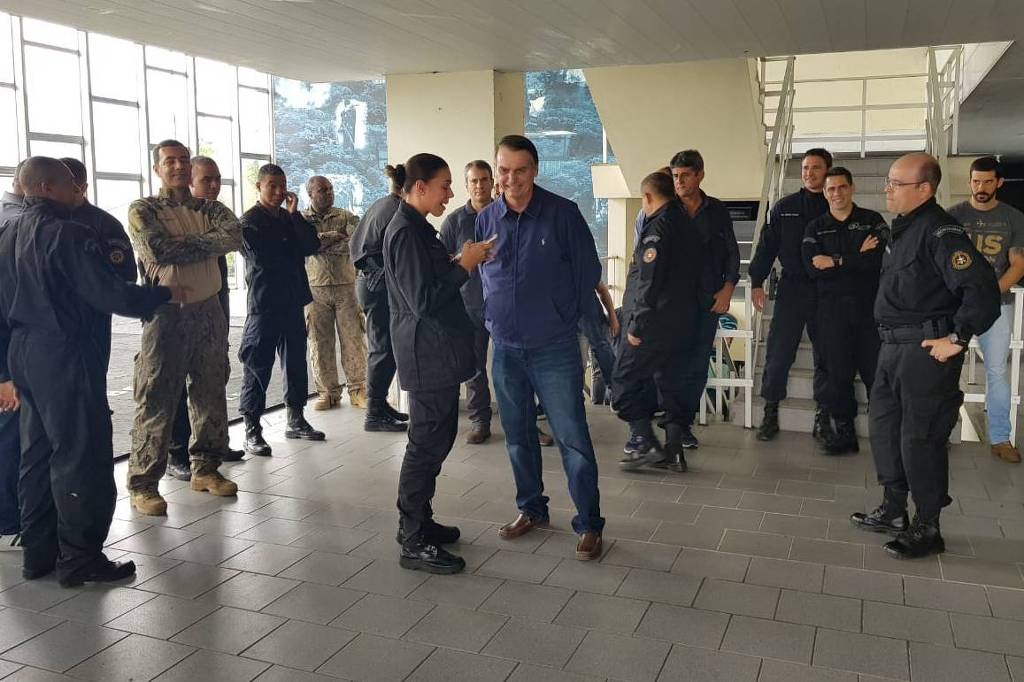 O mundo inteiro grita, mas o gado brasileiro segue feliz para o matadouro (Foto: Divulgação) O mundo inteiro grita, mas o gado brasileiro segue feliz para o matadouro