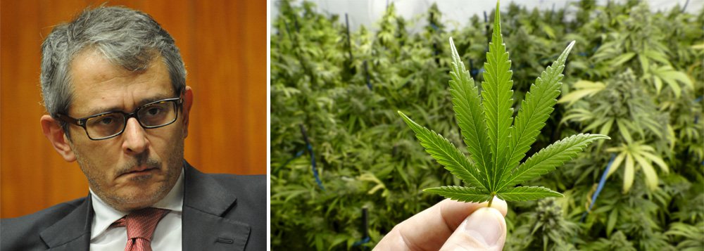 Maconha liberou a imaginação de Otávio Frias Filho Maconha liberou a imaginação de Otávio Frias Filho