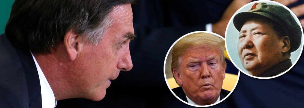 Bolsonaro é um tigre de papel Bolsonaro é um tigre de papel