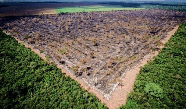 Desmatamento na Amazônia cresce 20% entre agosto de 2018 e abril de 2019 (Foto: Mayke Toscano/Gcom-MT) Desmatamento na Amazônia cresce 20% entre agosto de 2018 e abril de 2019