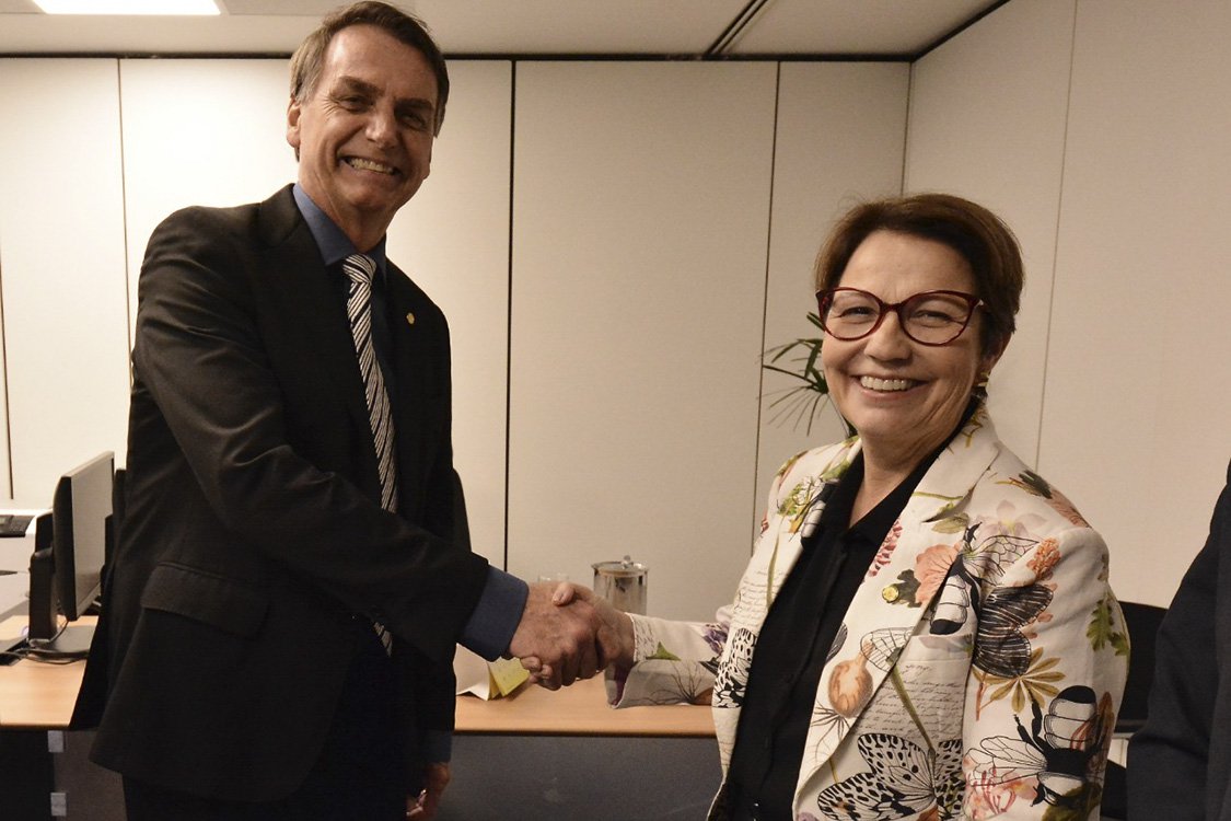 Futura ministra quer acabar com inspeção diária nos frigoríficos Futura ministra quer acabar com inspeção diária nos frigoríficos