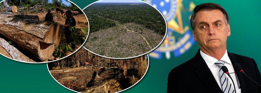 Enquanto Bolsonaro perdoa ruralistas, desmatamento na Amazônia cresce 100% Enquanto Bolsonaro perdoa ruralistas, desmatamento na Amazônia cresce 100%