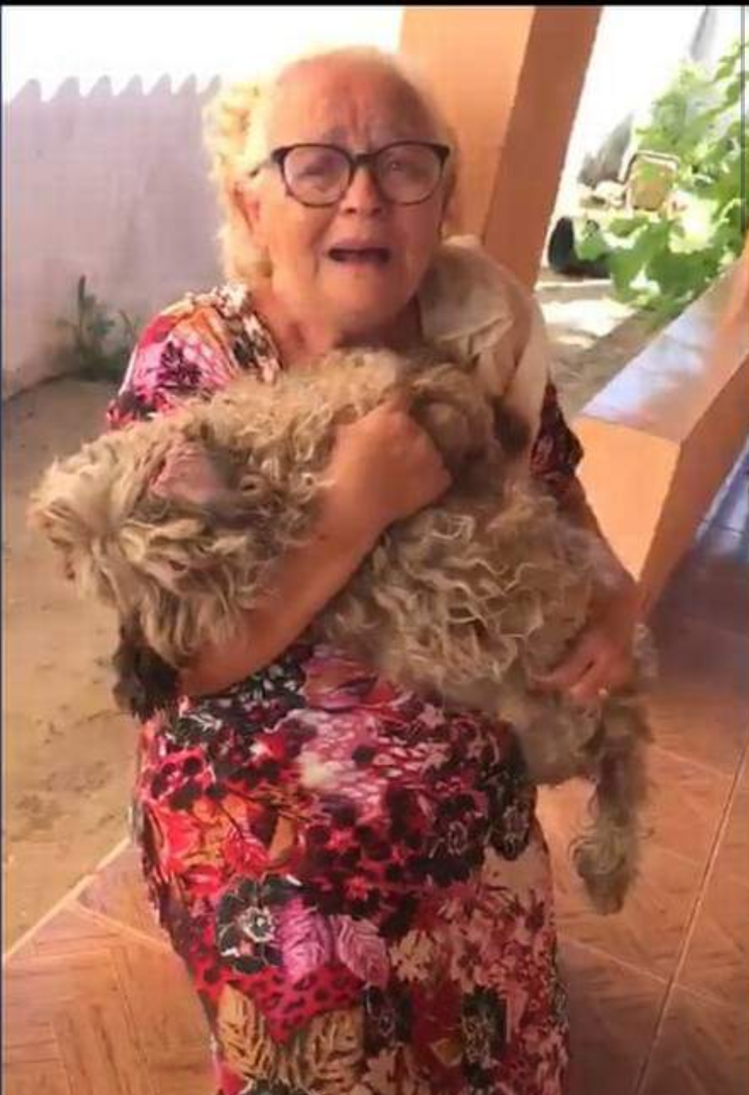 Mais um caso de agressão animal revolta as redes sociais www.brasil247.com - Mais um caso de agressão animal revolta as redes sociais