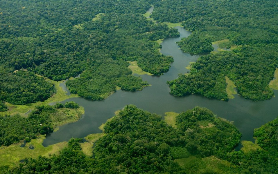 A Amazônia é nossa! A Amazônia é nossa!