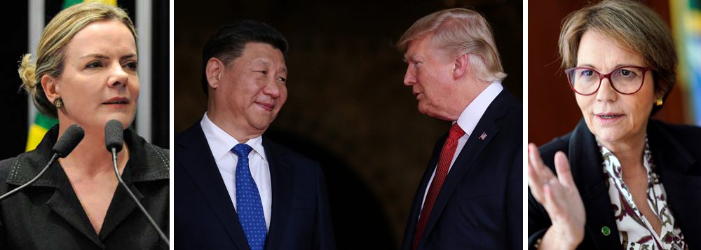 PT vai questionar MDA e China sobre acordo agrícola com EUA PT vai questionar MDA e China sobre acordo agrícola com EUA