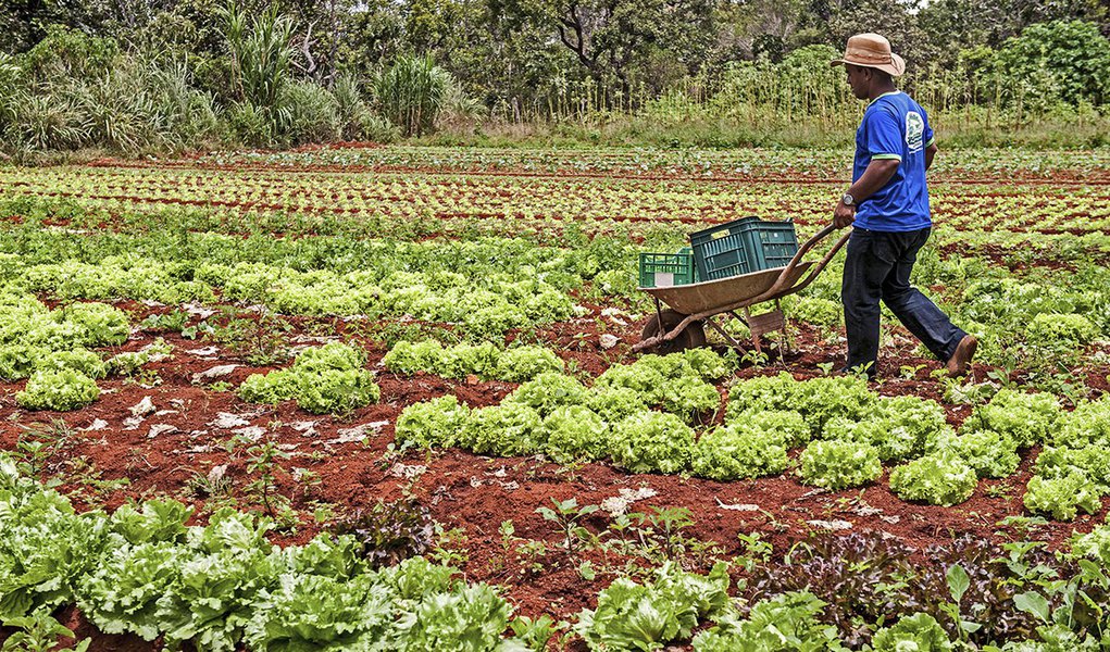 Mudança na Previdência rural dificulta acesso à aposentadoria (Foto: Sergio Amaral/MDS) Mudança na Previdência rural dificulta acesso à aposentadoria