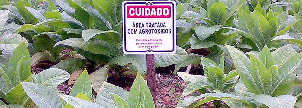 Governo libera registro de 28 agrotóxicos altamente tóxicos (Foto: MST) Governo libera registro de 28 agrotóxicos altamente tóxicos