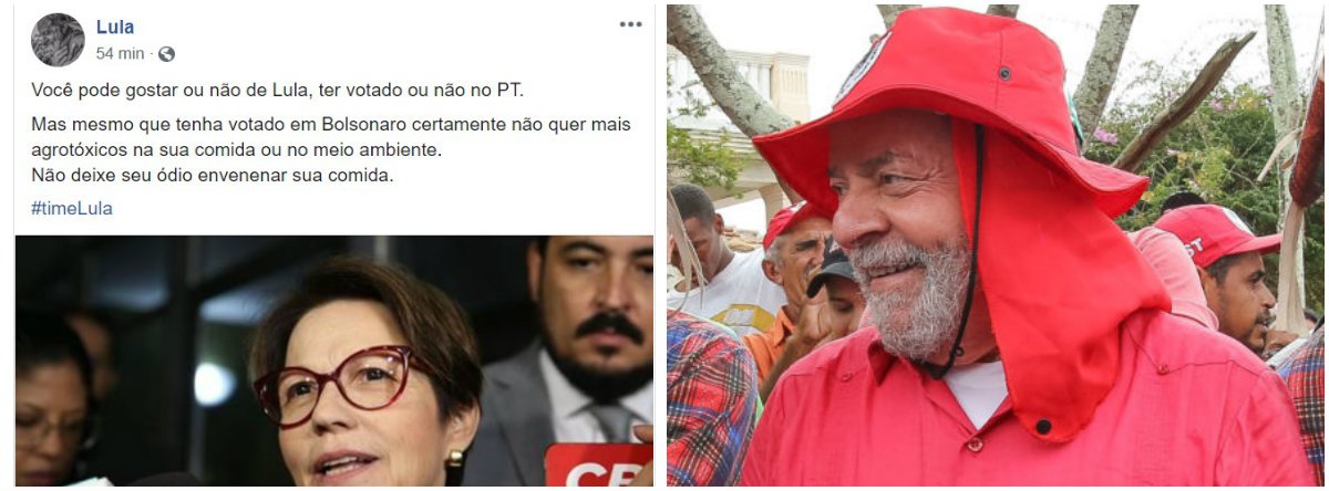 Lula critica liberação de agrotóxicos: não deixe seu ódio envenenar sua comida Lula critica liberação de agrotóxicos: não deixe seu ódio envenenar sua comida