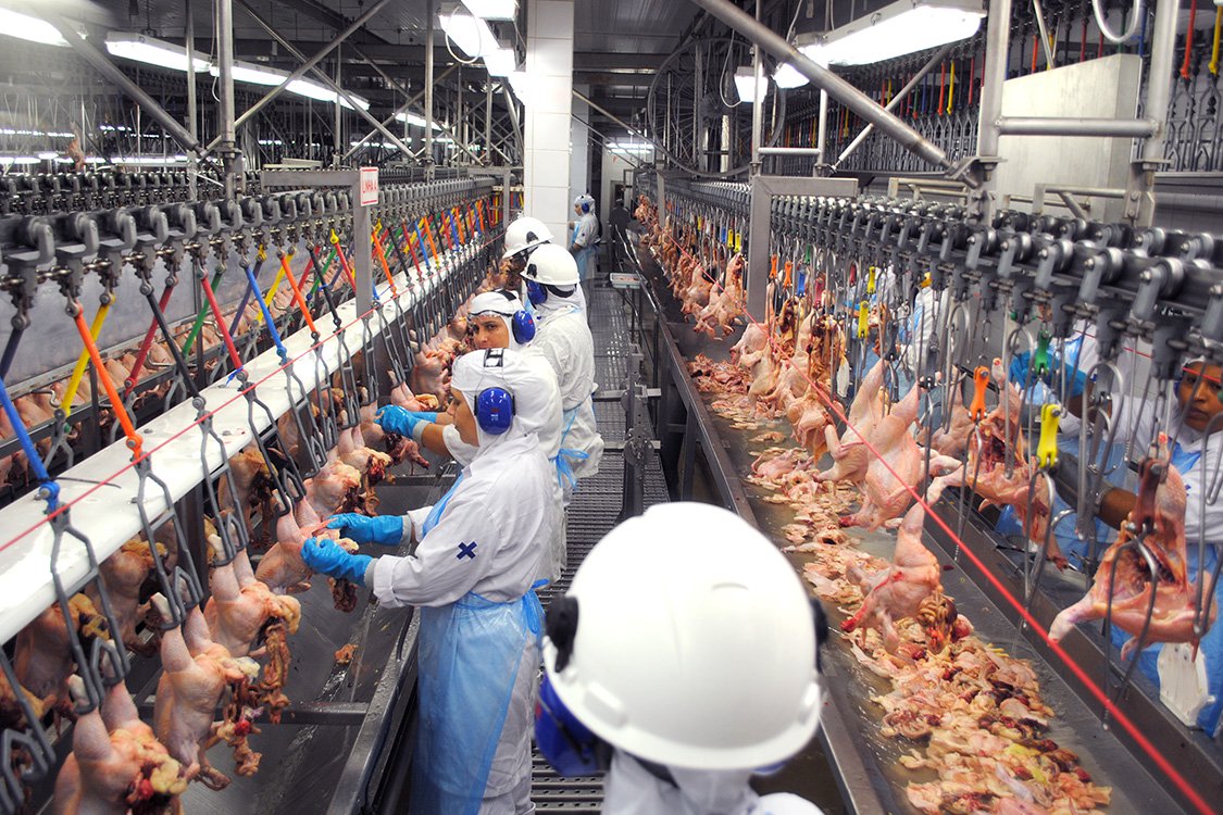 Arábia Saudita amplia sanção contra o Brasil e 33 frigoríficos estão proibidos de exportar (Foto: MPT-RS/Divulgação) Arábia Saudita amplia sanção contra o Brasil e 33 frigoríficos estão proibidos de exportar
