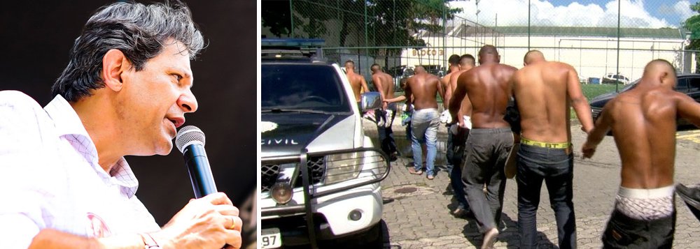 Haddad: liberação de armas é um passo para legalização das milícias Haddad: liberação de armas é um passo para legalização das milícias
