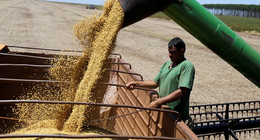 Como fica economia brasileira com guerra econômica? (Foto: © REUTERS / Jorge Adorno) Como fica economia brasileira com guerra econômica?