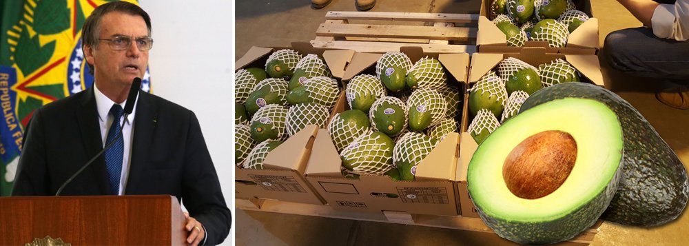 Bolsonaro comemora abertura do mercado argentino ao abacate brasileiro, que representa 0,007% das exportações Bolsonaro comemora abertura do mercado argentino ao abacate brasileiro, que representa 0,007% das exportações