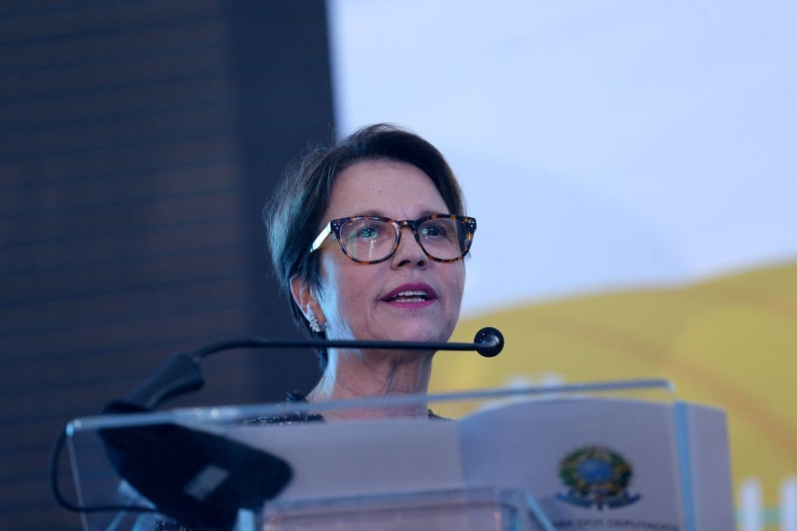 Ruralistas do Pará cobram governo Bolsonaro por medidas contra política ambiental (Foto: Wilson Dias/Agência Brasil) Ruralistas do Pará cobram governo Bolsonaro por medidas contra política ambiental